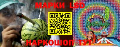 гидра Нальчик